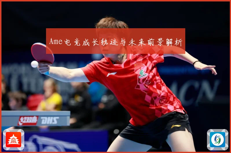 Ame电竞成长轨迹与未来前景解析