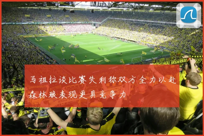 马祖拉谈比赛失利称双方全力以赴森林狼表现更具竞争力