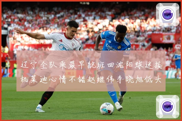 辽宁全队乘最早航班回沈阳球迷接机莱迪心情不错赵继伟李晓旭低头赛场复盘