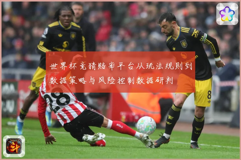世界杯竞猜赔率平台从玩法规则到数据策略与风险控制数据研判