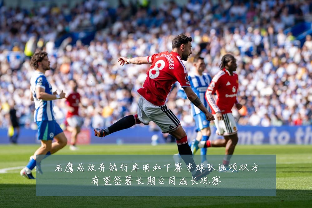 老鹰或放弃执行库明加下赛季球队选项双方有望签署长期合同成长观察