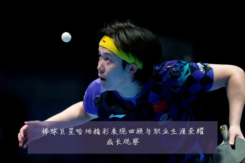 棒球巨星哈珀精彩表现回顾与职业生涯荣耀成长观察