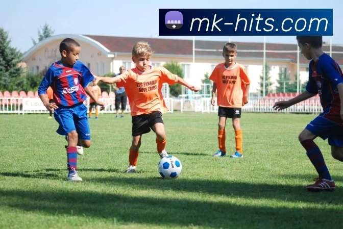 MK体育平台展示图