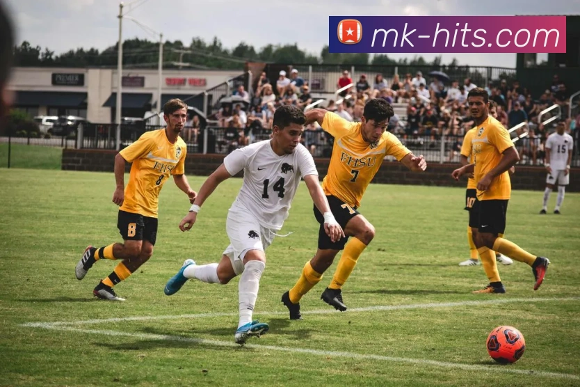 MK体育登录入口全面指南助力用户快速注册与畅享赛事体验